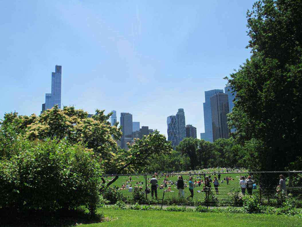 IMG_2545 - Copy.JPG