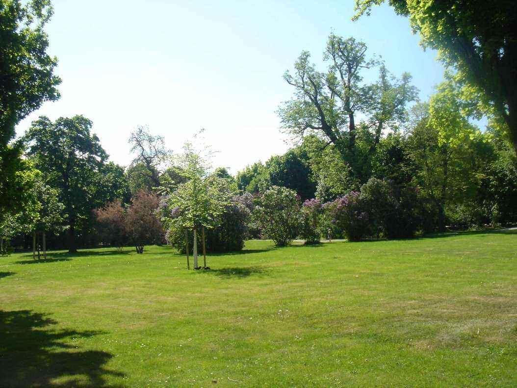 DSC08381 - Copy.JPG