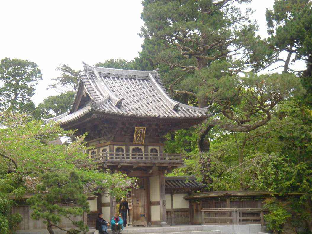 DSC04337 - Copy.JPG