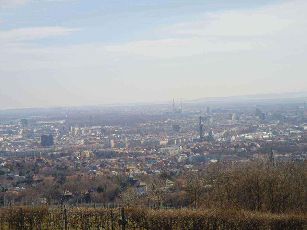 DSC04914 - Copy.JPG