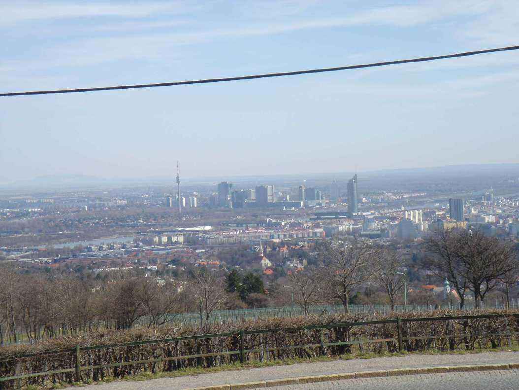 DSC04911 - Copy.JPG