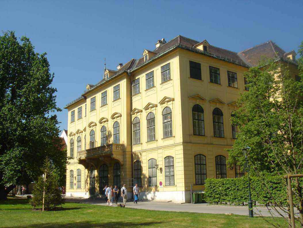 DSC08378 - Copy.JPG