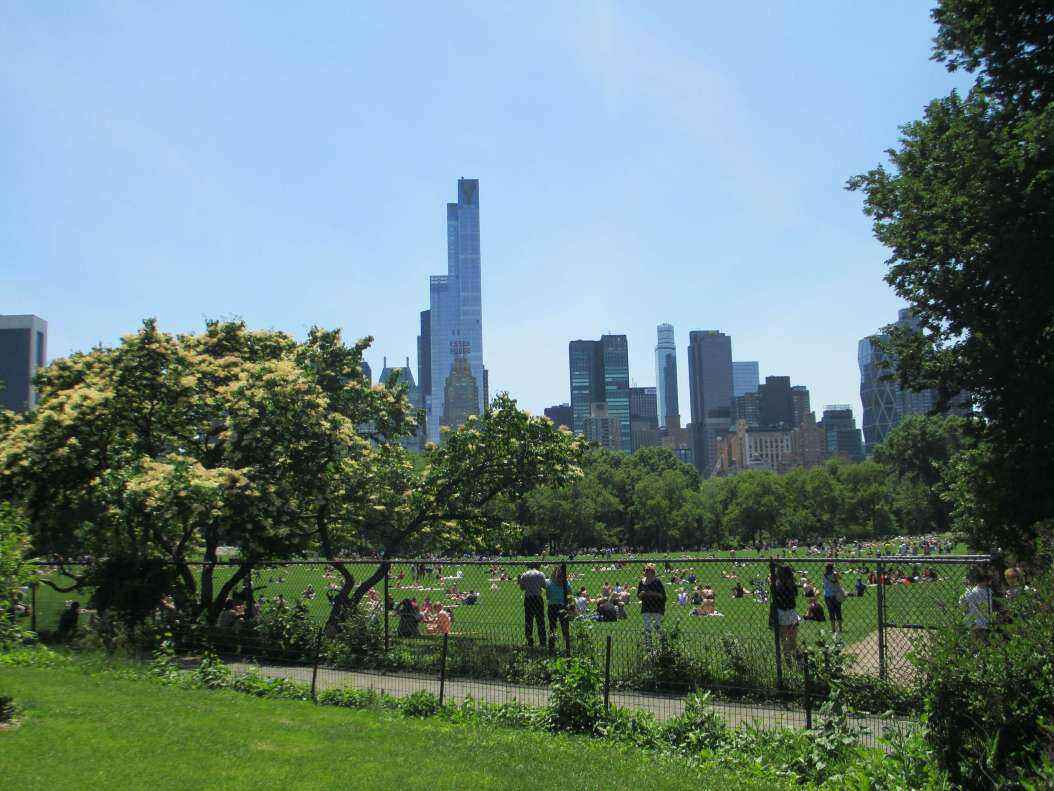 IMG_2544 - Copy.JPG