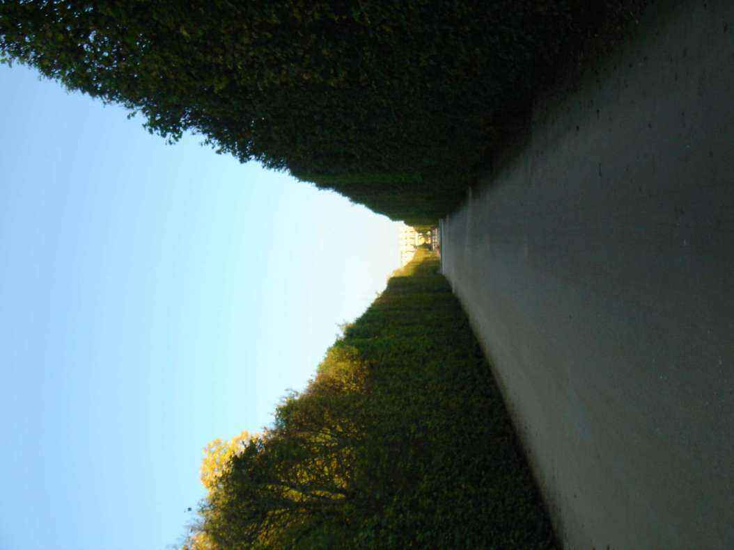 DSC06425 - Copy.JPG