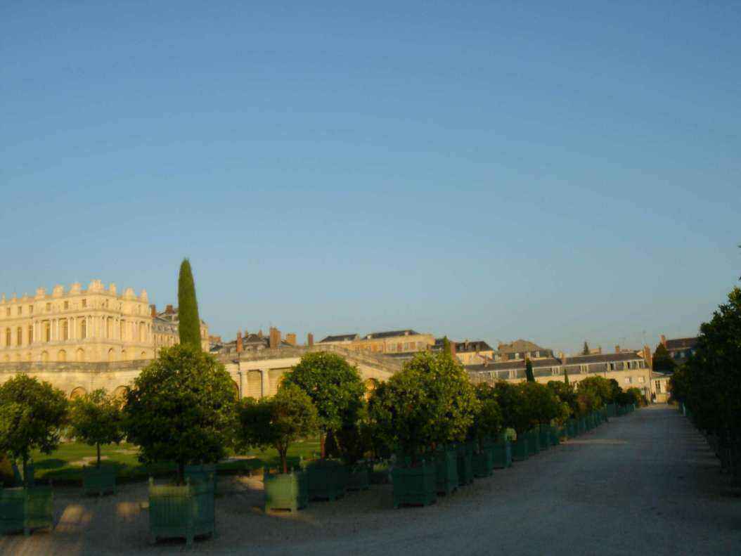 DSC06441 - Copy.JPG