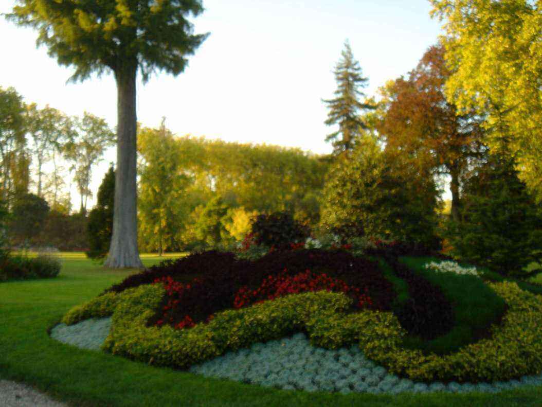 DSC06433 - Copy.JPG