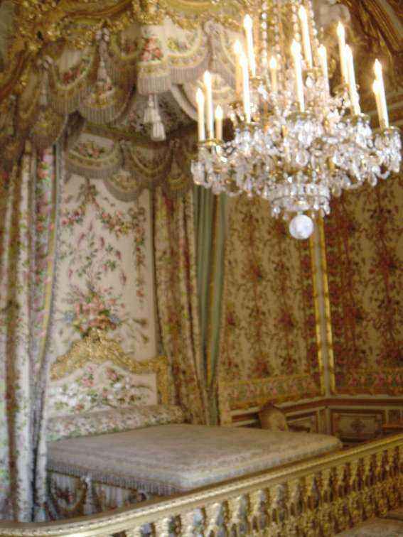 DSC06360 - Copy.JPG