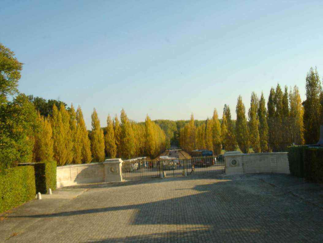 DSC06399 - Copy.JPG