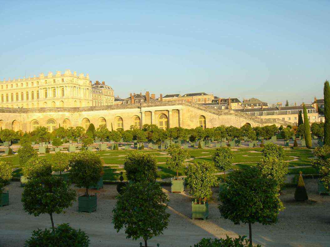 DSC06447 - Copy.JPG