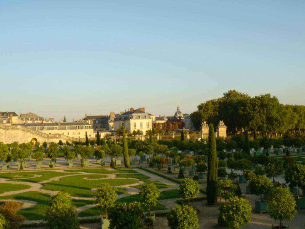 DSC06451 - Copy.JPG