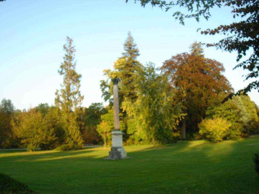 DSC06434 - Copy.JPG