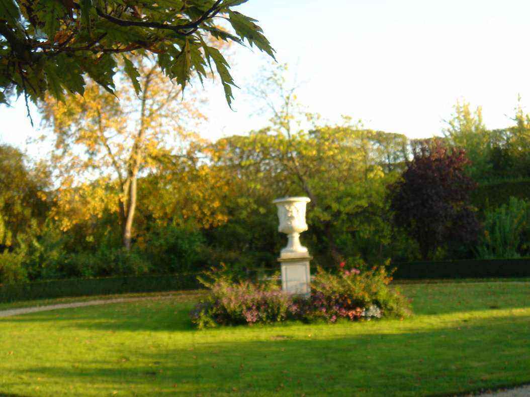 DSC06432 - Copy.JPG
