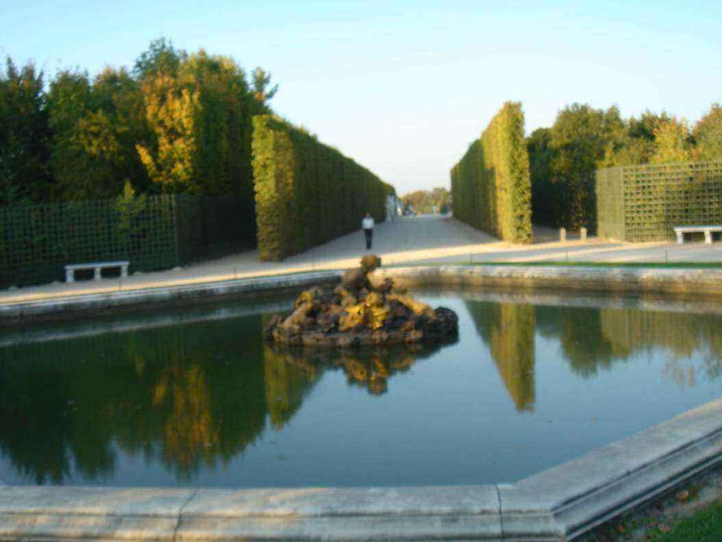 DSC06438 - Copy.JPG