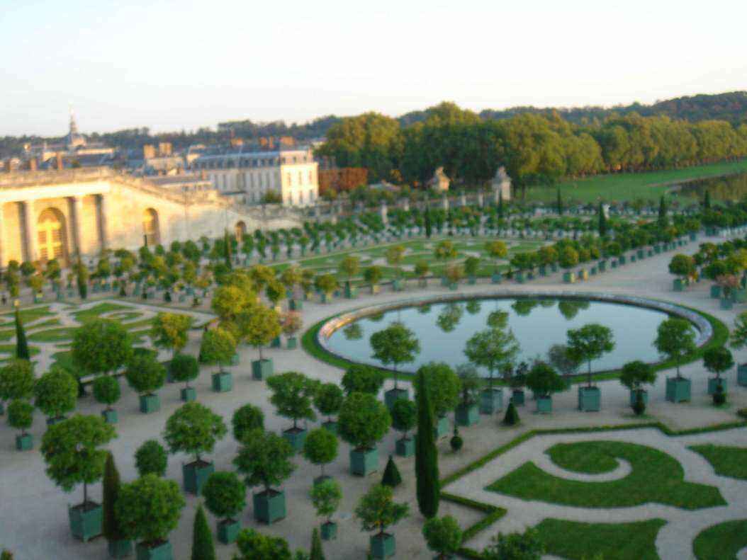 DSC06491 - Copy.JPG