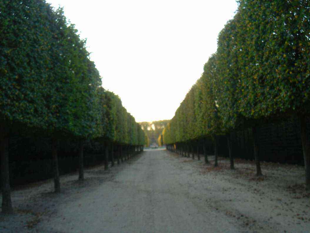 DSC06479 - Copy.JPG
