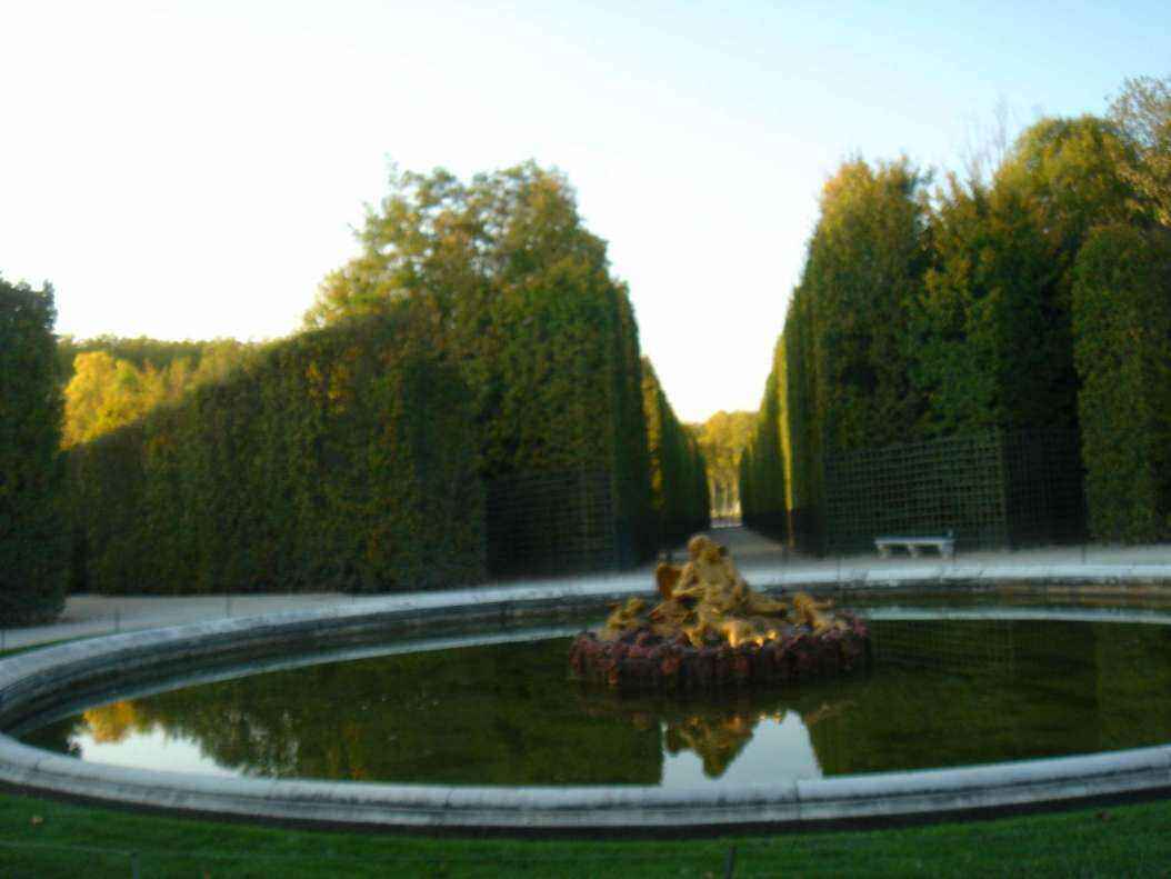 DSC06437 - Copy.JPG
