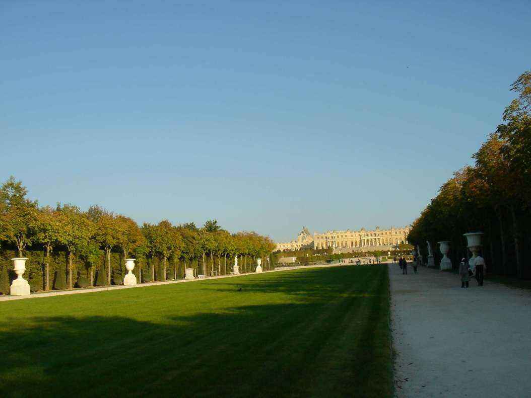 DSC06419 - Copy.JPG