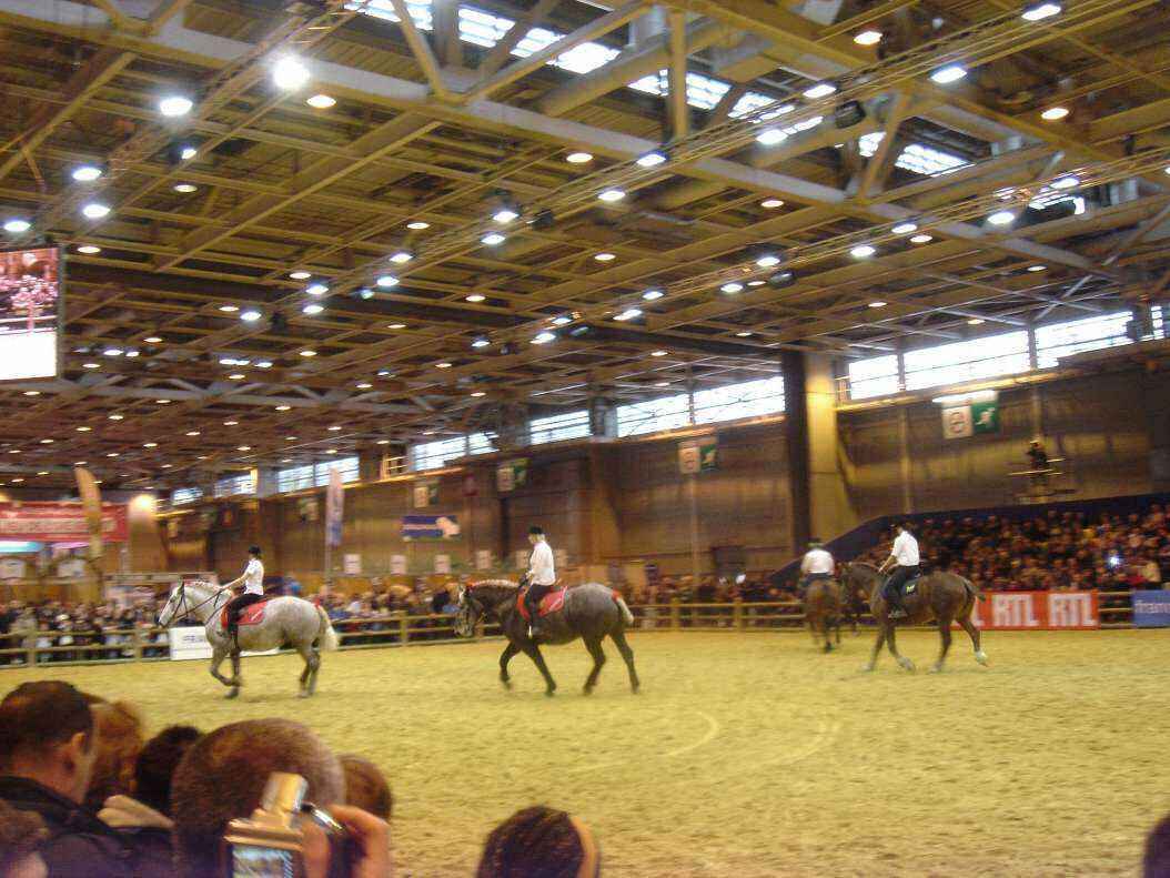 DSC08040 - Copy.JPG