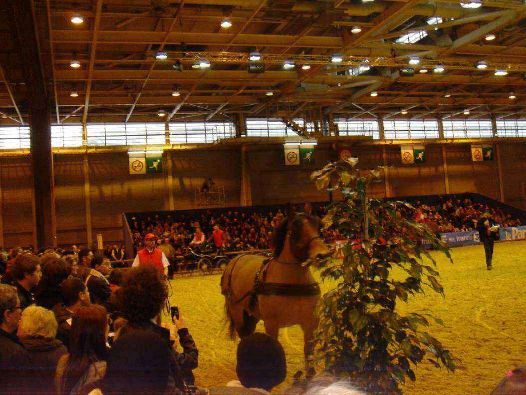 DSC08045 - Copy.JPG