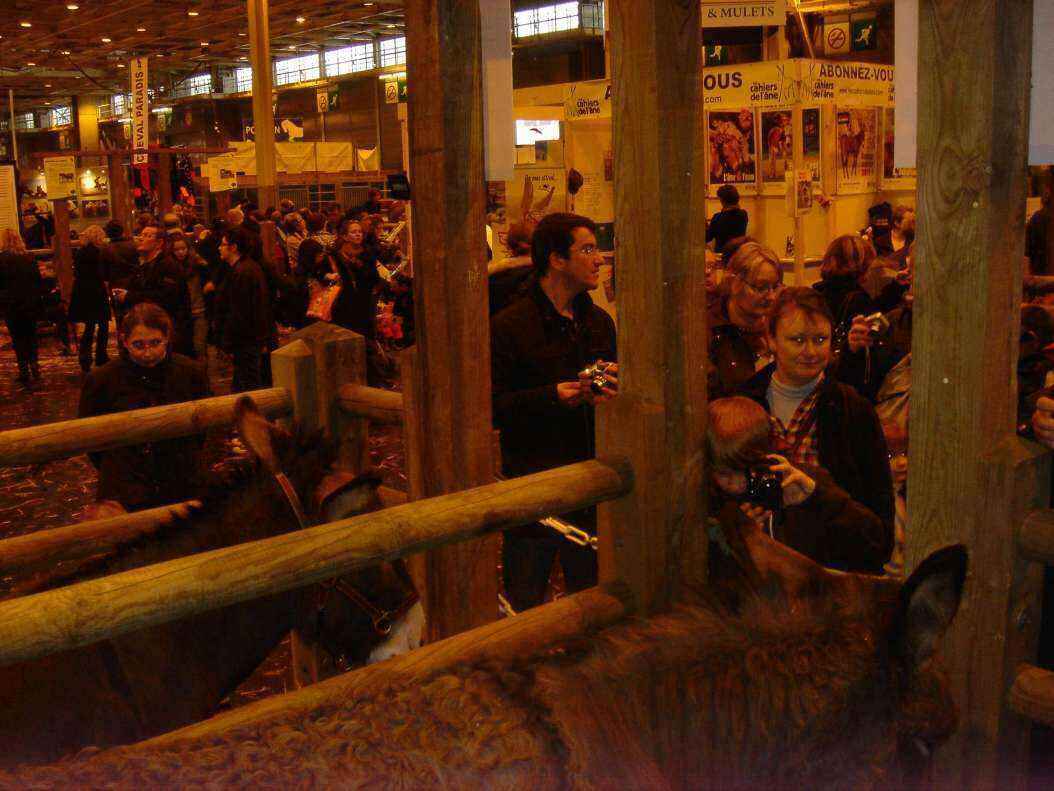 DSC07987 - Copy.JPG