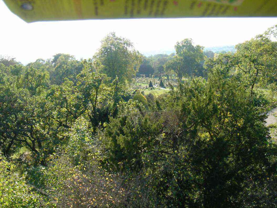 DSC06623 - Copy.JPG