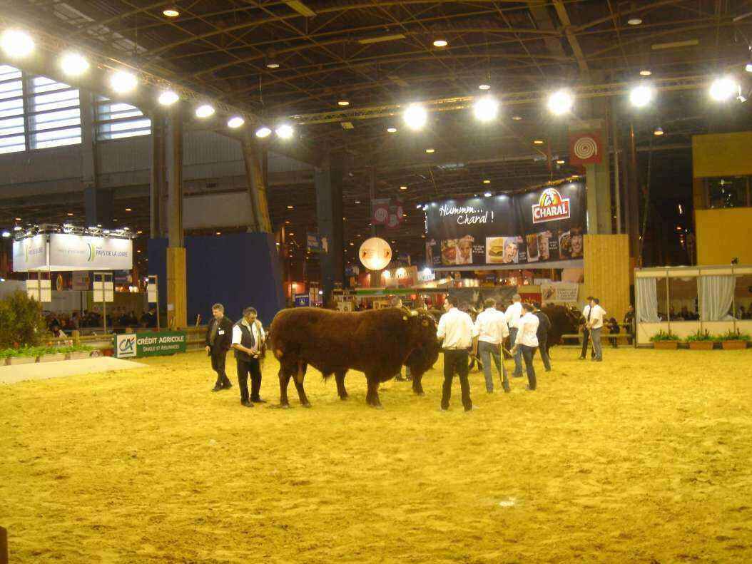DSC08128 - Copy.JPG