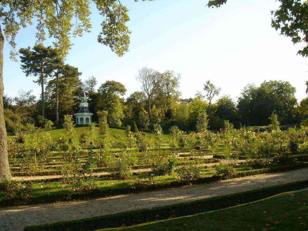 DSC06608 - Copy.JPG