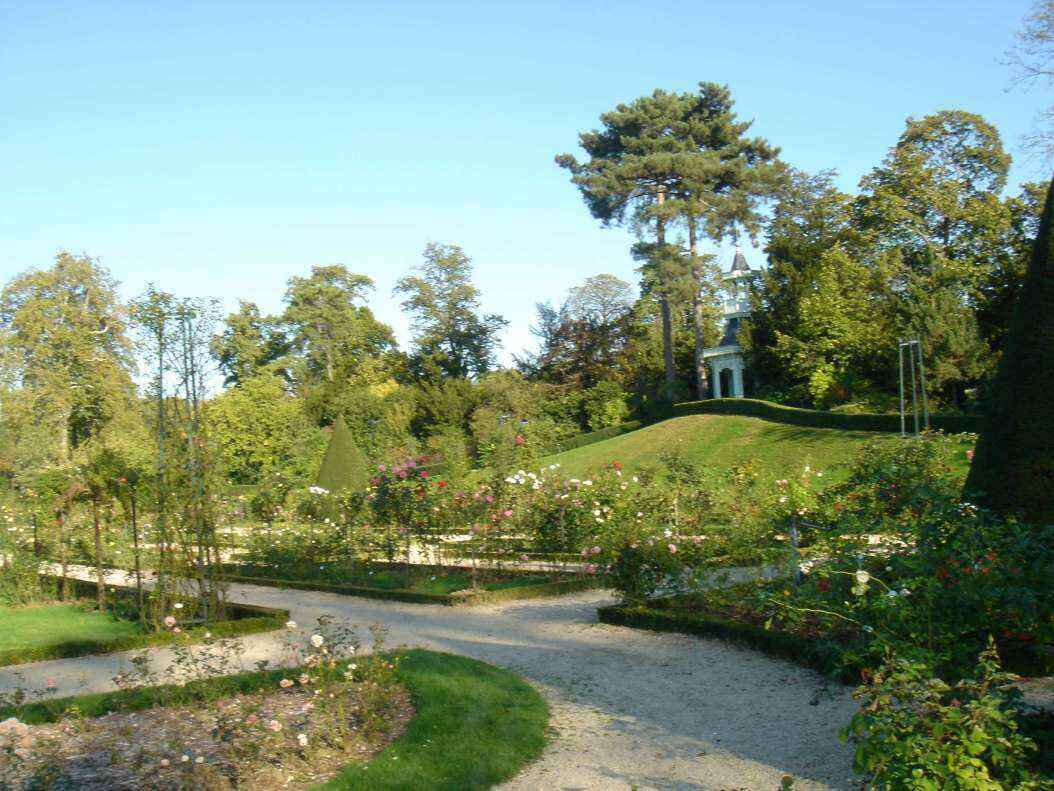 DSC06612 - Copy.JPG