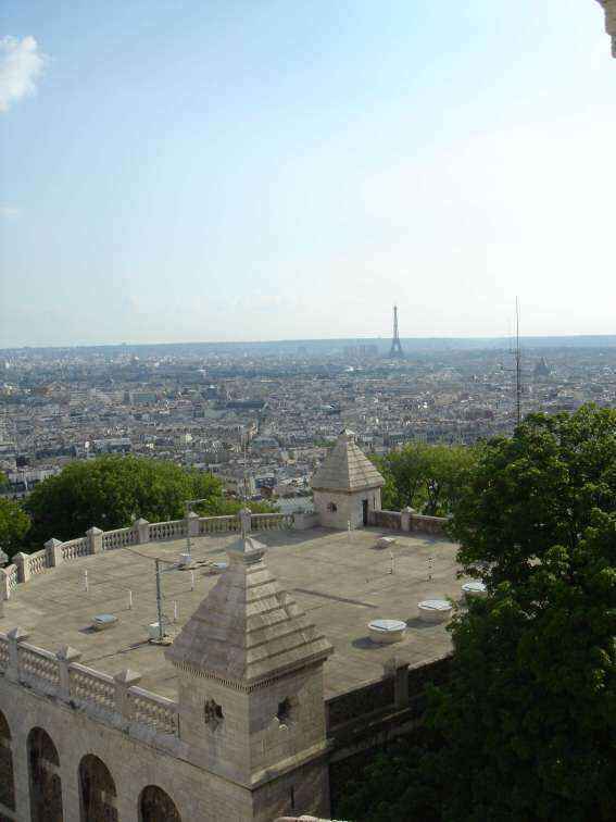 DSC08775 - Copy.JPG