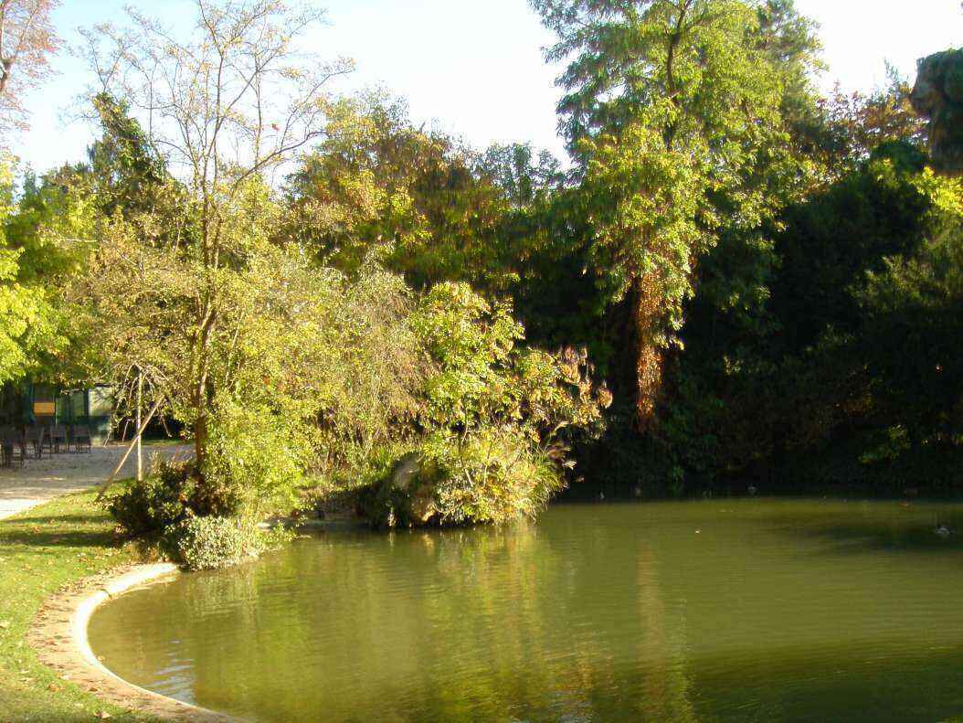 DSC06583 - Copy.JPG