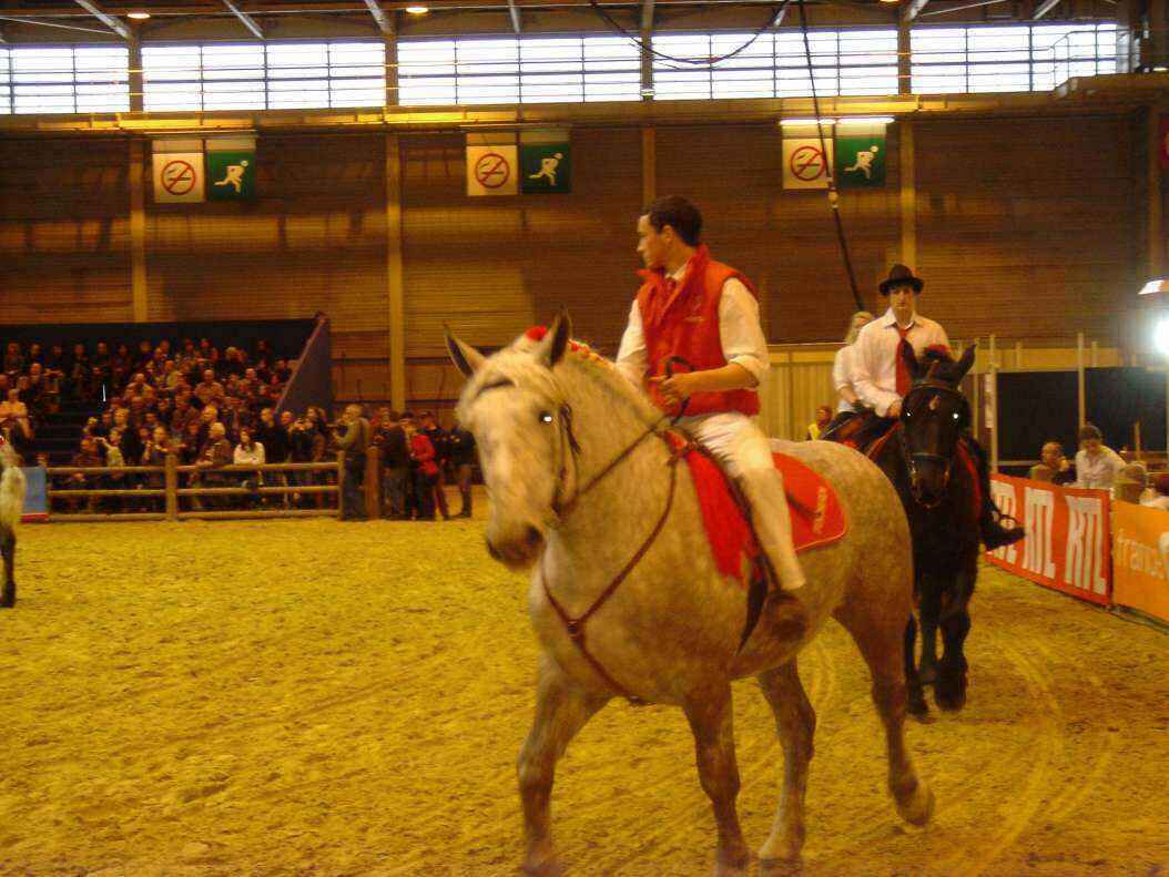 DSC08020 - Copy.JPG