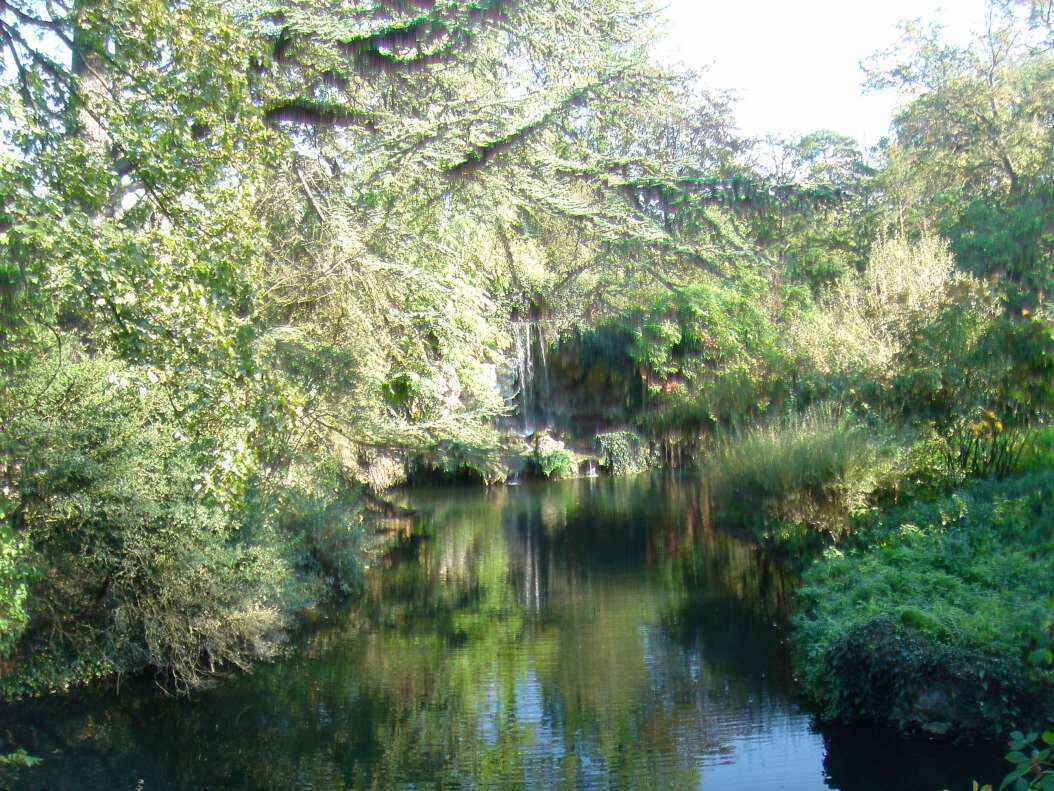 DSC06592 - Copy.JPG