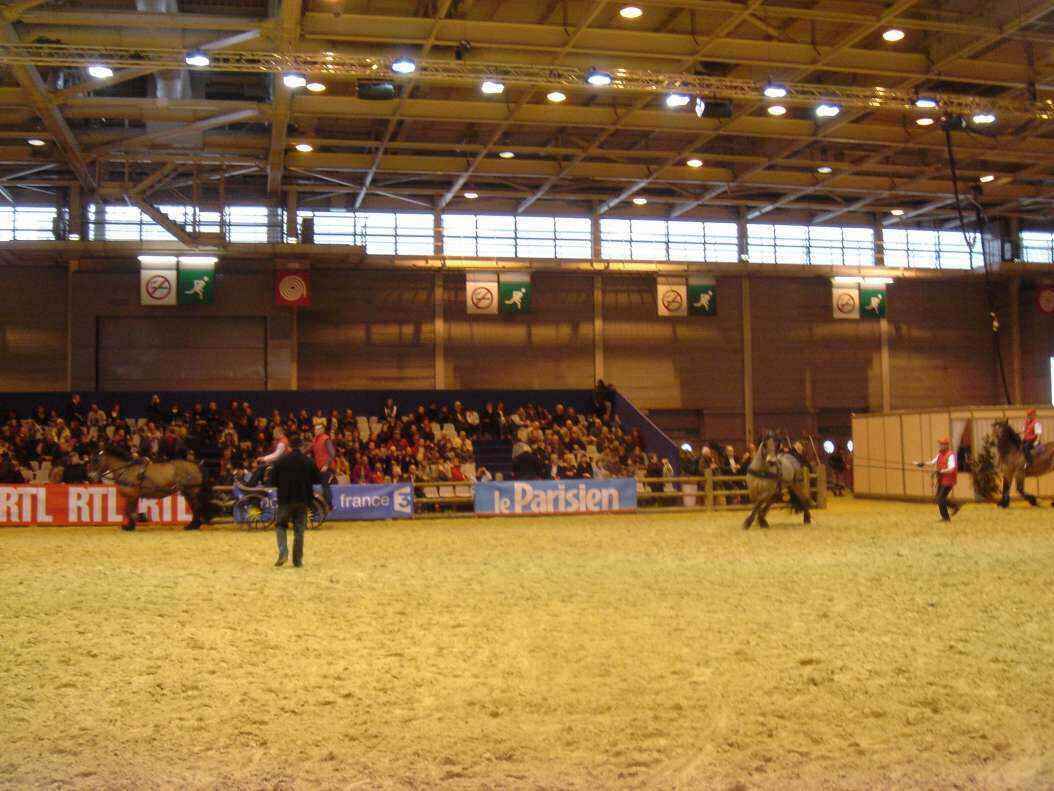 DSC08043 - Copy.JPG
