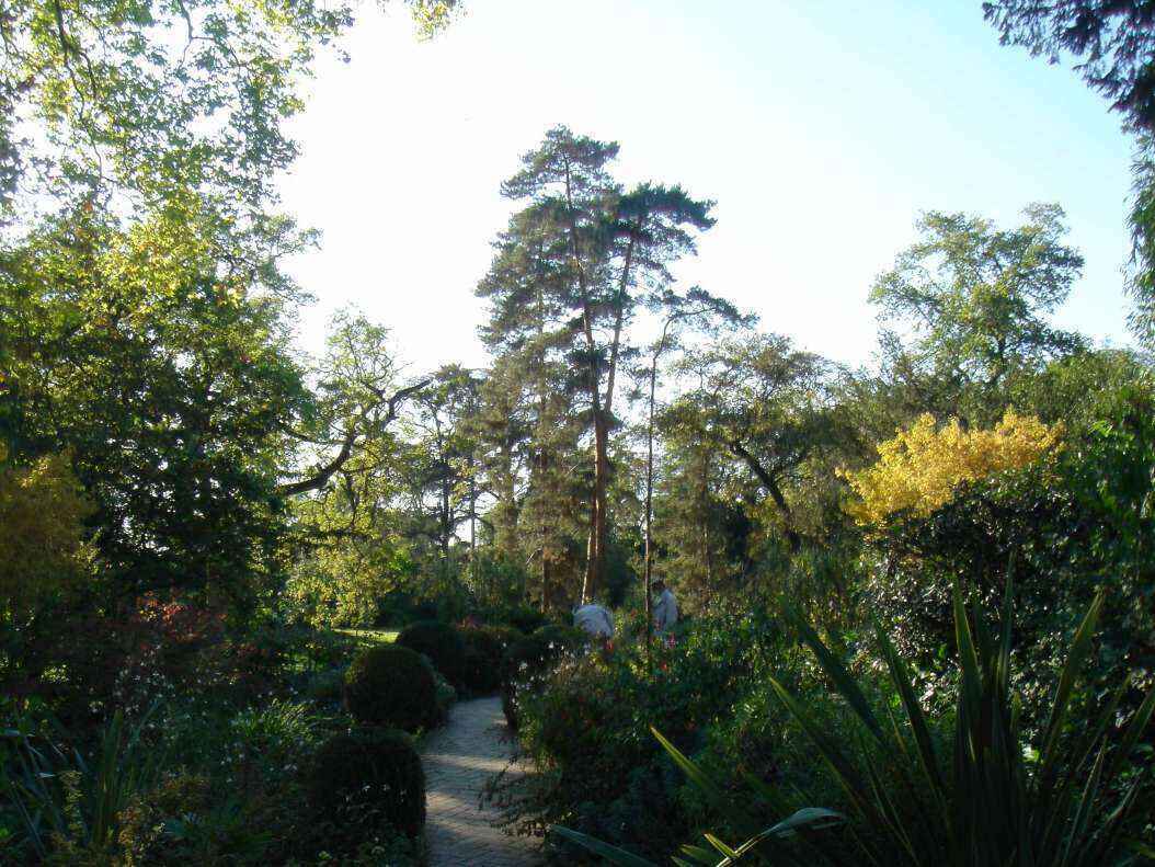 DSC06589 - Copy.JPG