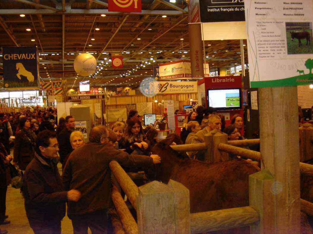 DSC07999 - Copy.JPG
