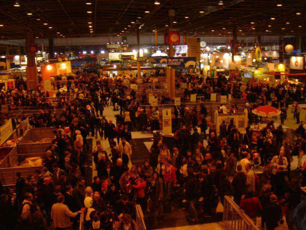 DSC08136 - Copy.JPG