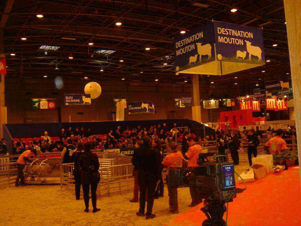 DSC08109 - Copy.JPG