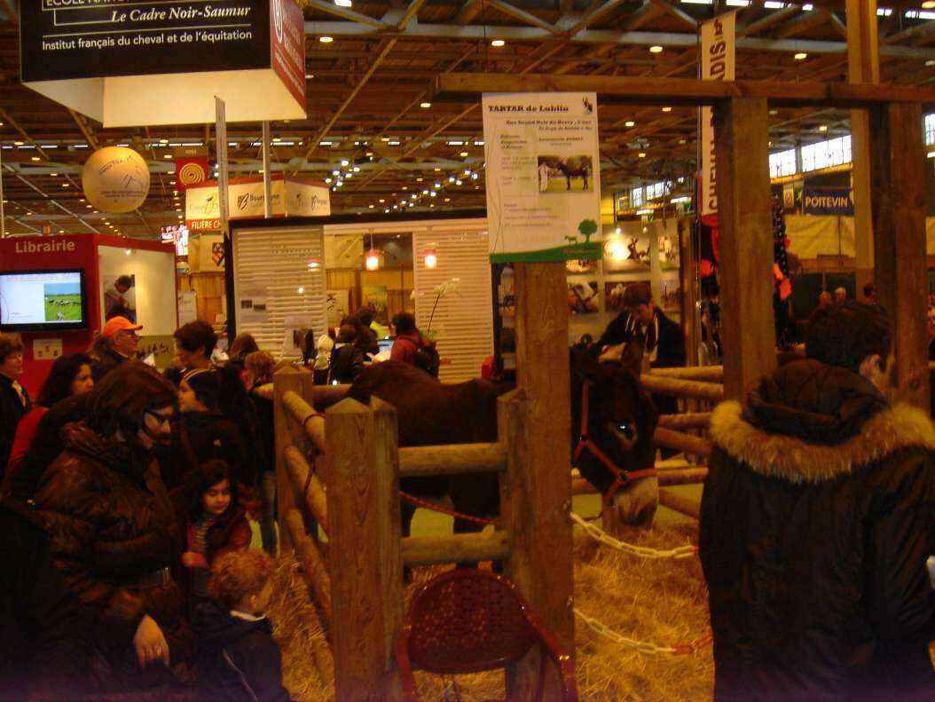 DSC07998 - Copy.JPG
