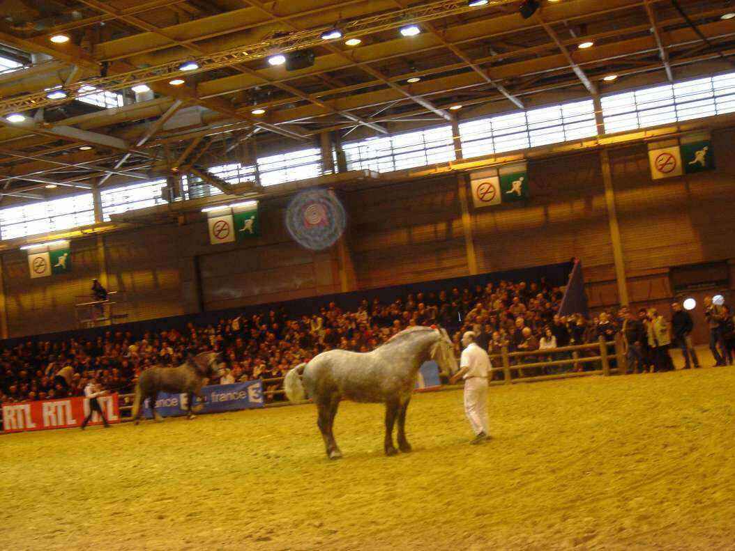 DSC08016 - Copy.JPG