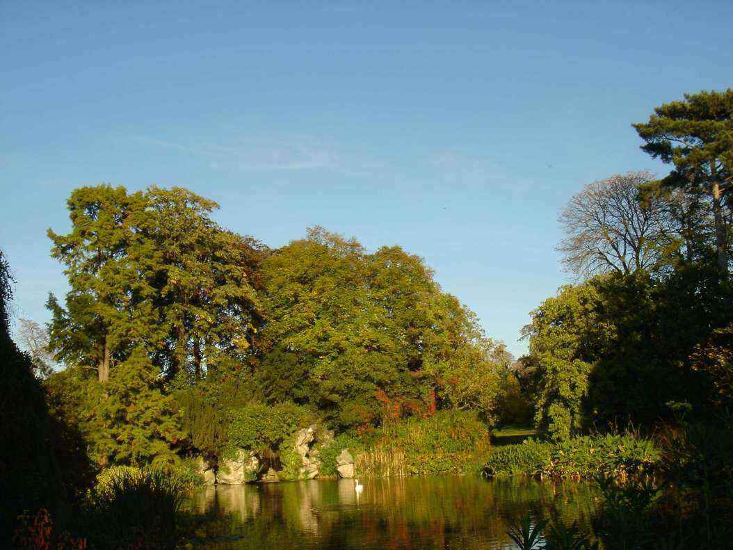 DSC06647 - Copy.JPG