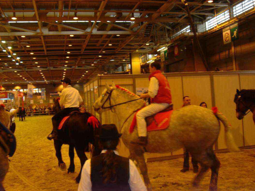 DSC08005 - Copy.JPG