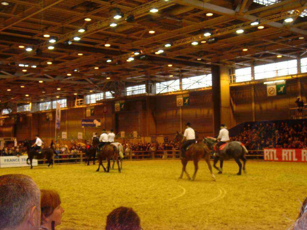 DSC08038 - Copy.JPG