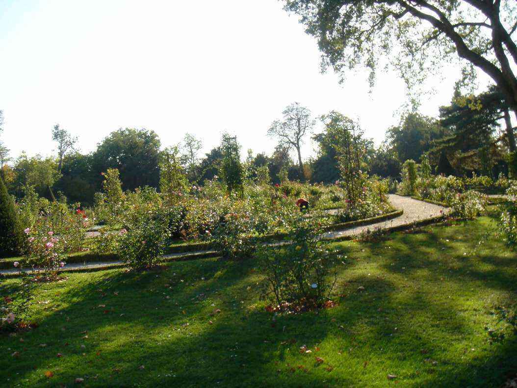 DSC06606 - Copy.JPG