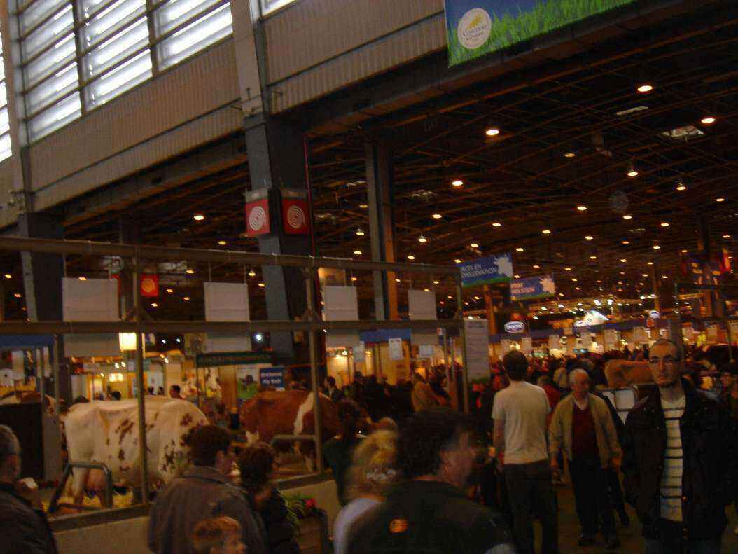 DSC08119 - Copy.JPG