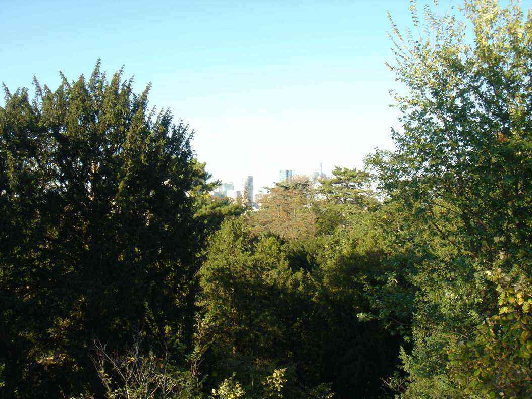 DSC06624 - Copy.JPG