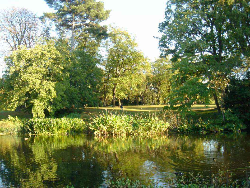 DSC06644 - Copy.JPG