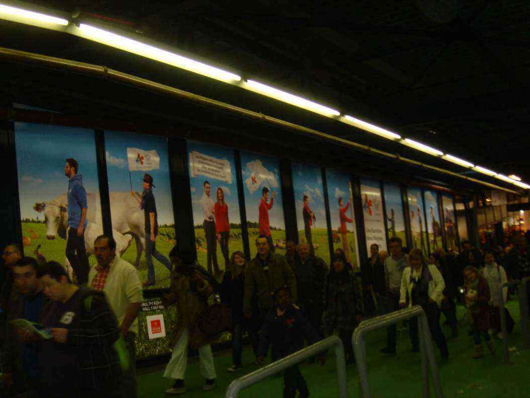 DSC08104 - Copy.JPG