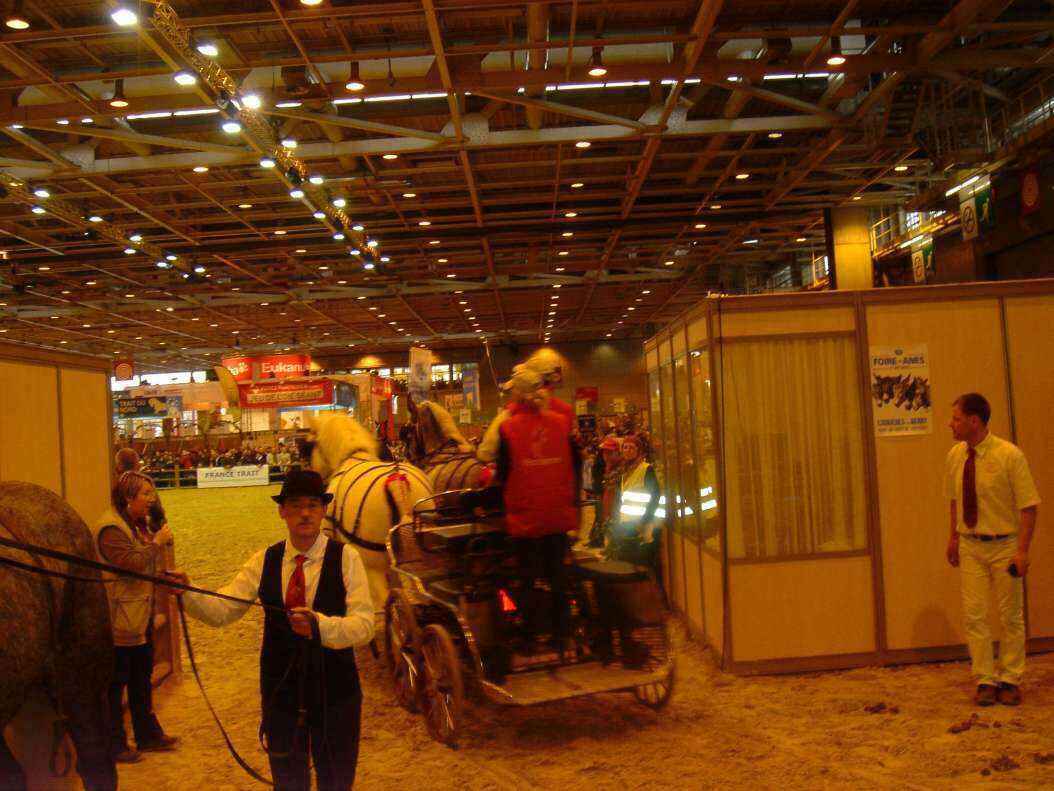 DSC08004 - Copy.JPG