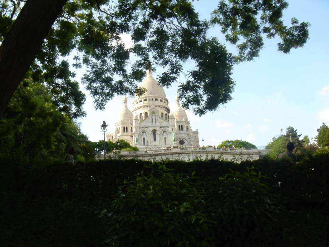 DSC08808 - Copy.JPG