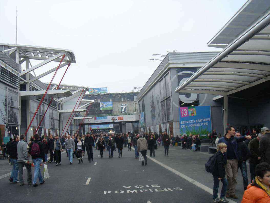 DSC08102 - Copy.JPG